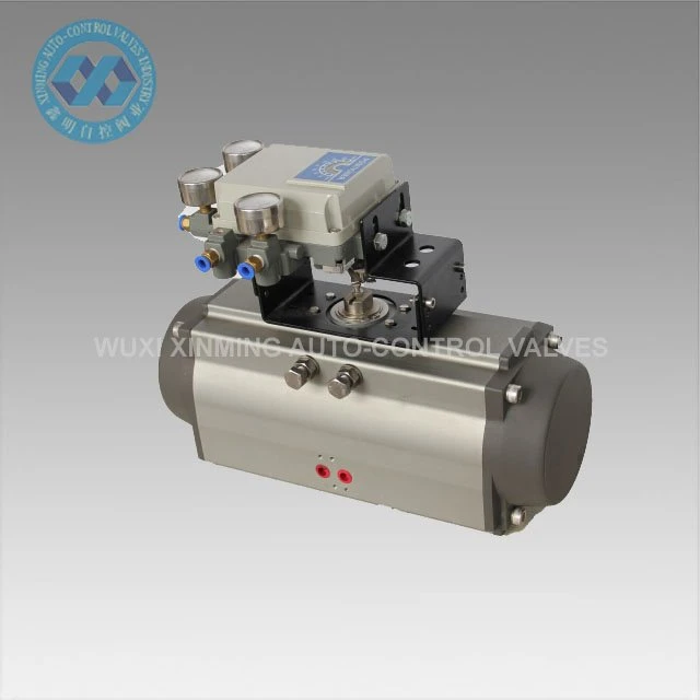 AT pneumatic actuator