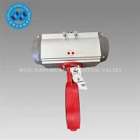 Bray Butterfly Valve Stýribúnaður