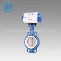 Pneumatic High Performance Butterfly Valva
