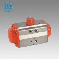 Pneumatic Rotary Actuator: 0 ~ 90 gráðu nákvæmni stjórn